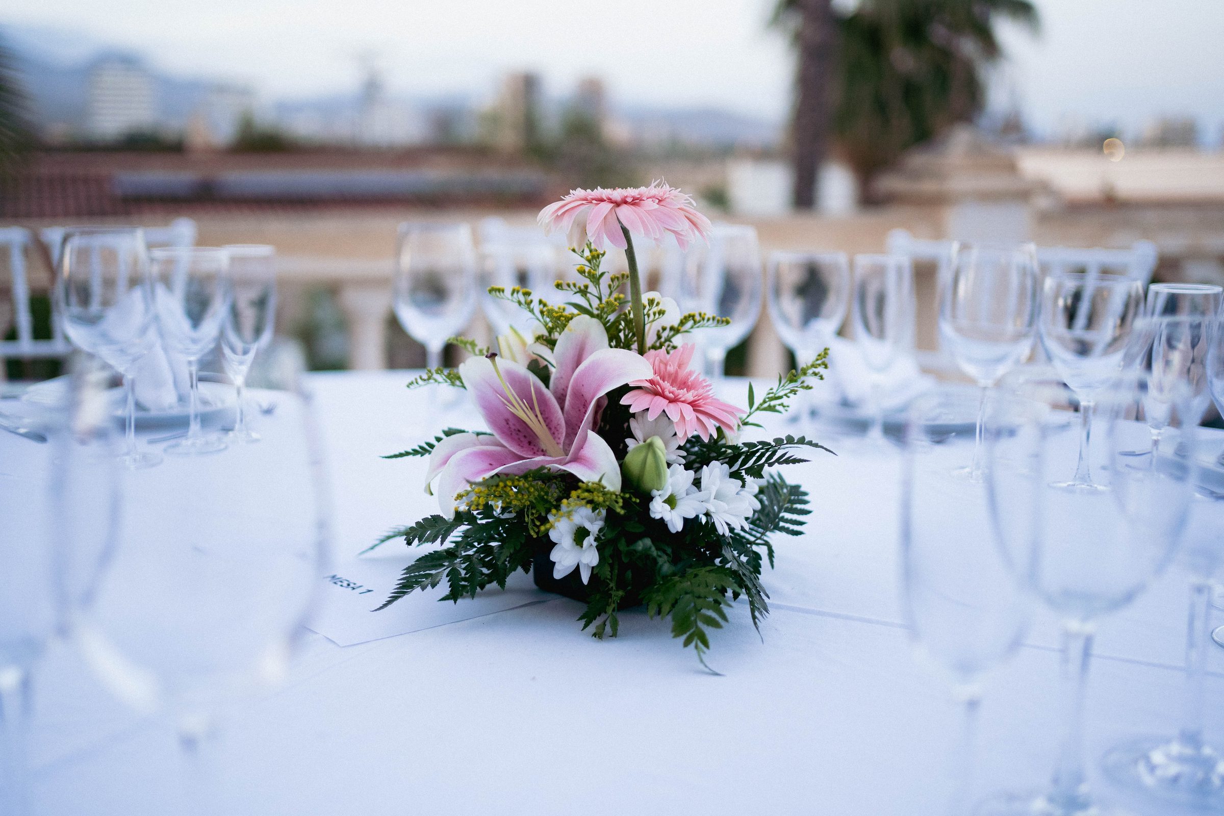 José Antonio & Leah — foto 14 de la boda en Finca privada Campello